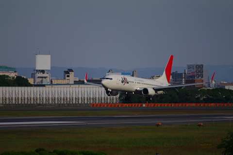 Japan Transocean 737-800 landing