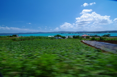 沖縄　古宇利島　古宇利大橋