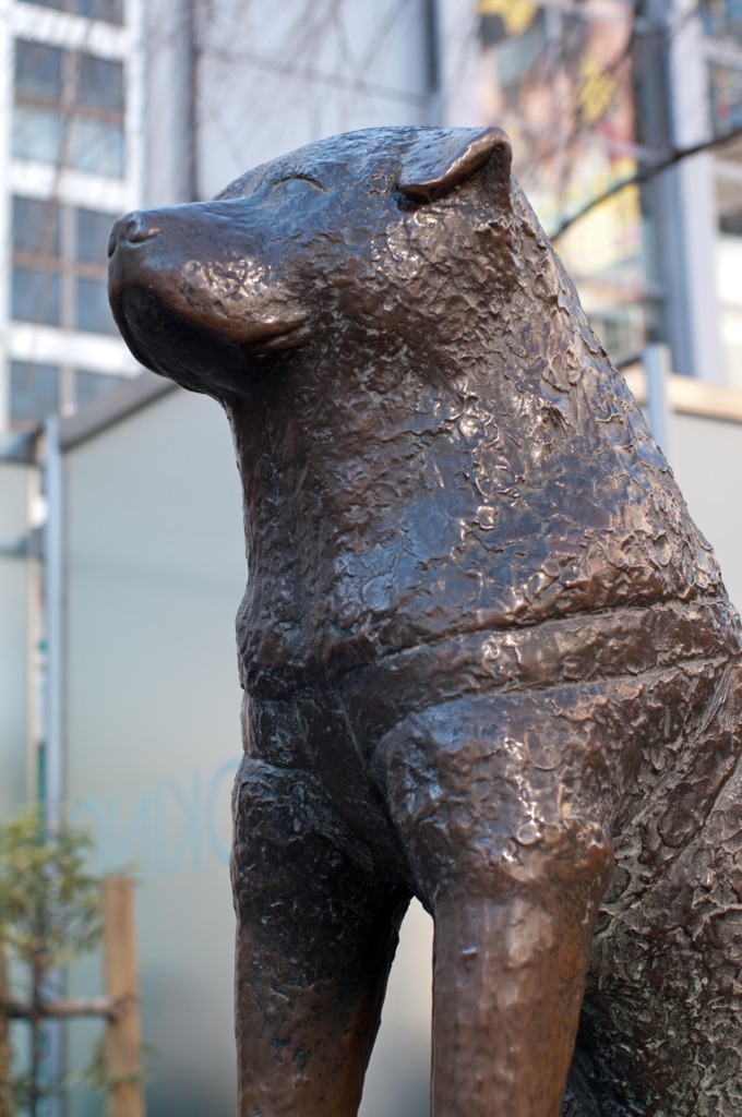 日本で一番有名なワンコ、今は2番目か、ソフトバンクのオトーサンが。