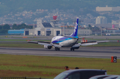 ANA 737 Landing