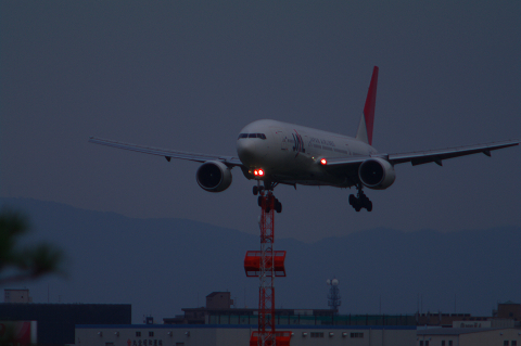 JAL777 たそがれLanding