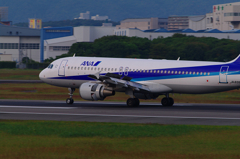 ANA　Airbus 320　Landing（Slast Reverser)