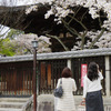 八坂の塔