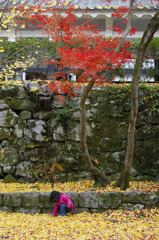 京都南禅寺