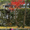 京都南禅寺