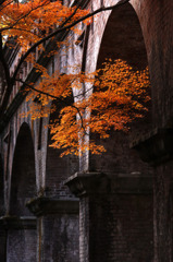 南禅寺水路閣の紅葉