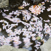 水の流れに・・