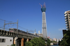 東京スカイツリー