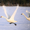 Takeoff！