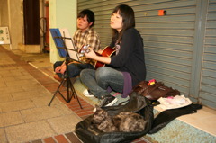 street musician （AIさん ＆ ご友人）