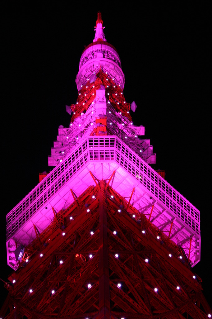 電波塔（Pink Light ver）