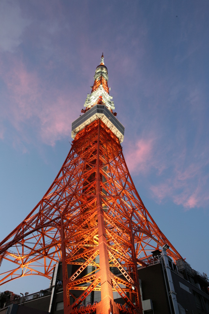 夕日に染まる