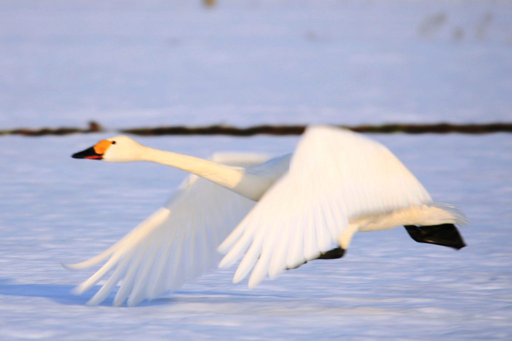 Takeoff！