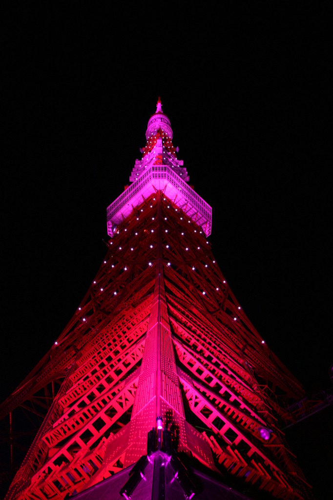 夜空にそびえる　（TOKYO Tower Pink Light ver）