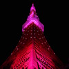 夜空にそびえる　（TOKYO Tower Pink Light ver）