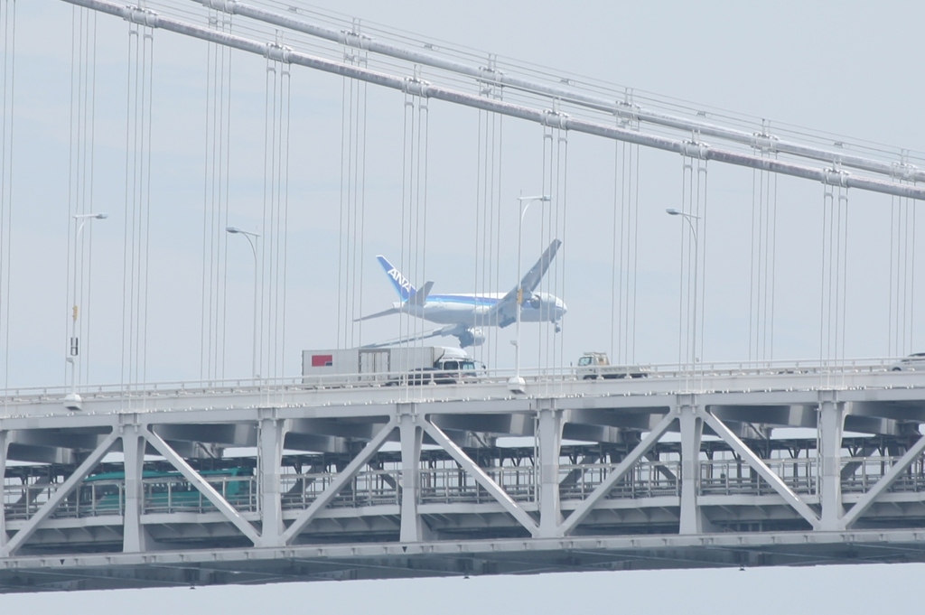 空と陸の共演