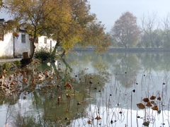 宏村１０景