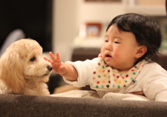 よろしくねっ♪