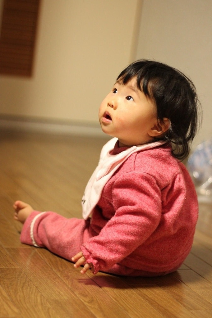 何が見えたかな？