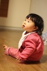 何が見えたかな？
