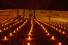 雪原カーニバル01