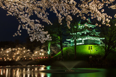 高田城百万人の観桜会1