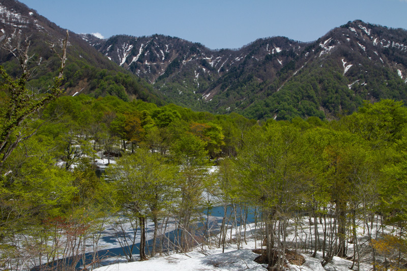 鎌池高景