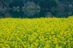 静寂な朝