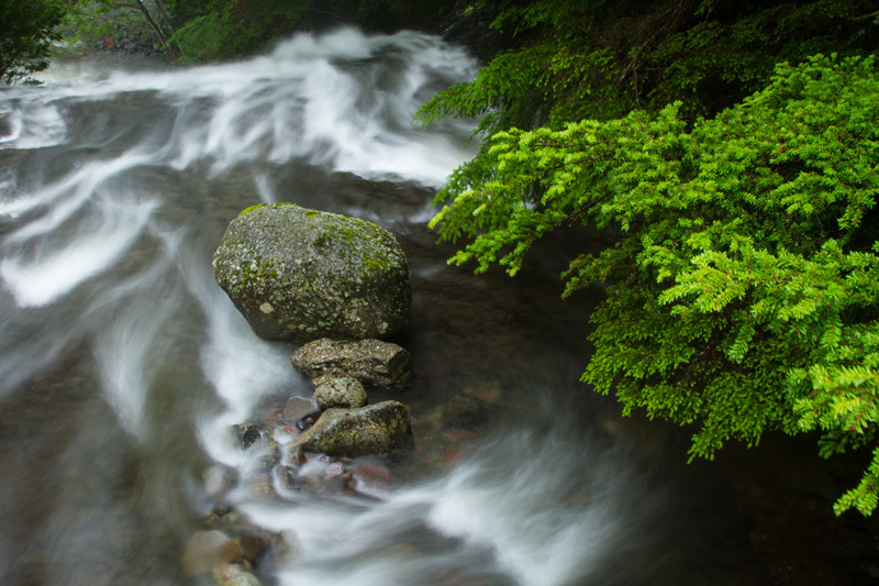 乗鞍高原 善五郎の滝下流