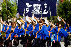 2010 にいがた総おどり22