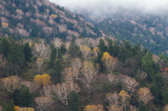 桧枝岐　晩秋