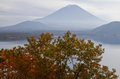 本栖湖と富士山