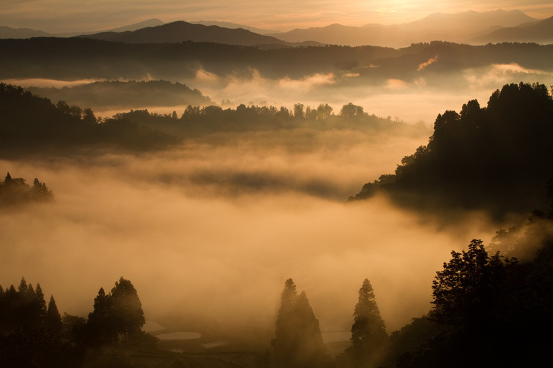 山古志朝景2