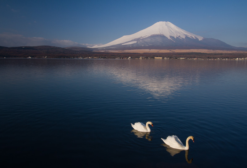 春の富士　その4　山中湖