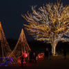 越後丘陵公園クリスマスイルミネーション2