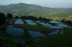 山古志真夏の棚池