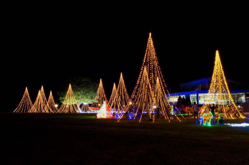 国営越後丘陵公園サマーナイトプレゼンツ2011　2