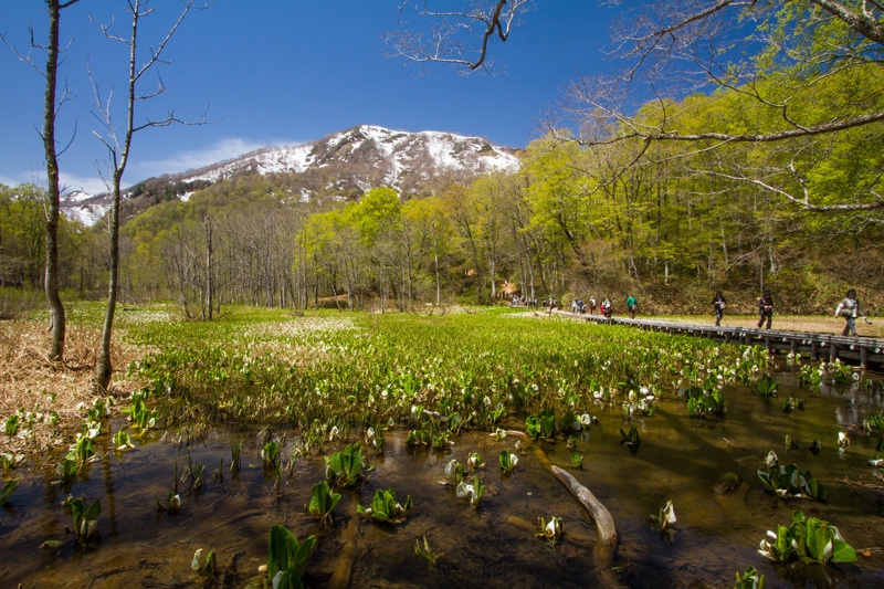 奥裾花自然園　春到来