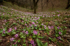 村上諸上寺公園02