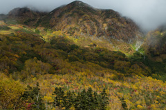 染色の山