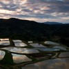 山古志金倉山 棚池棚田の水鏡