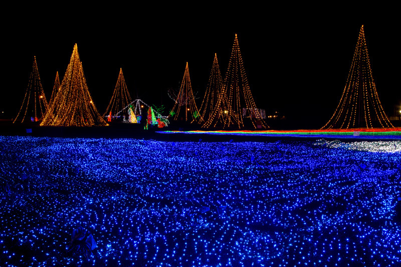 国営越後丘陵公園サマーナイツプレゼンツ2012_04