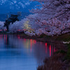 日本三大夜桜　高田公園