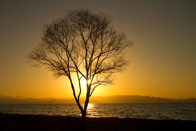 猪苗代湖夕景