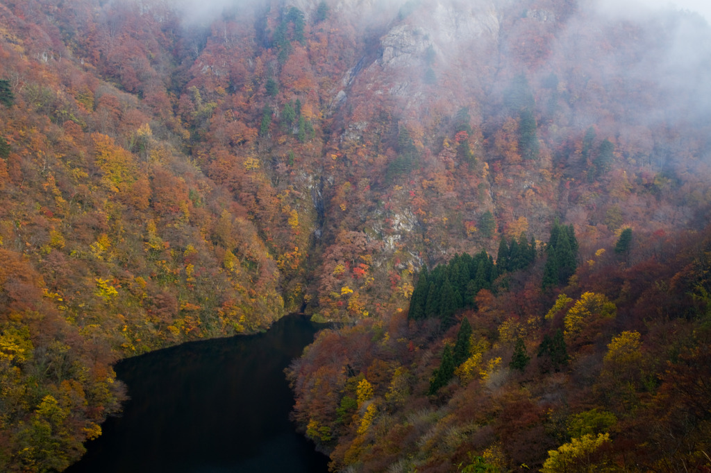 朝日スーパー林道
