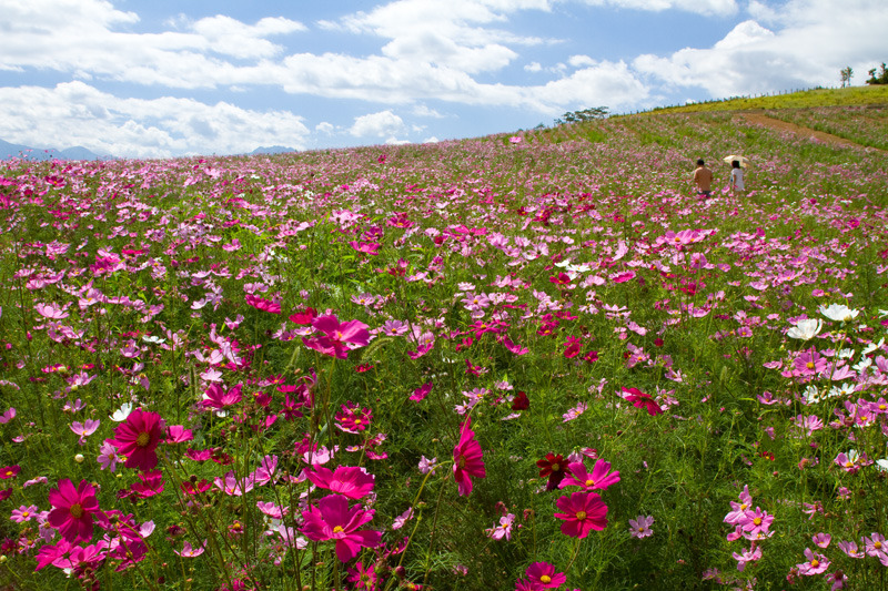 旧広神村上原高原
