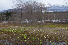 妙高高原　いもり池