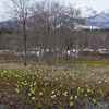 妙高高原　いもり池