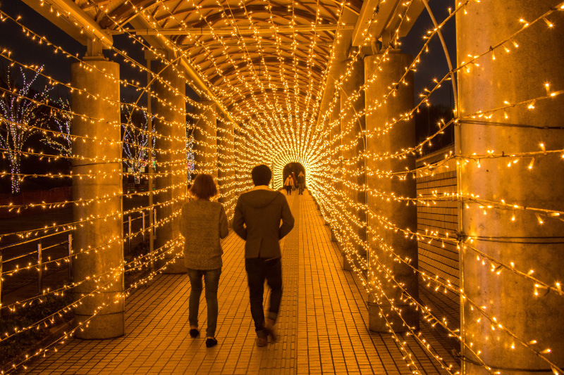 越後丘陵公園クリスマスイルミネーション3