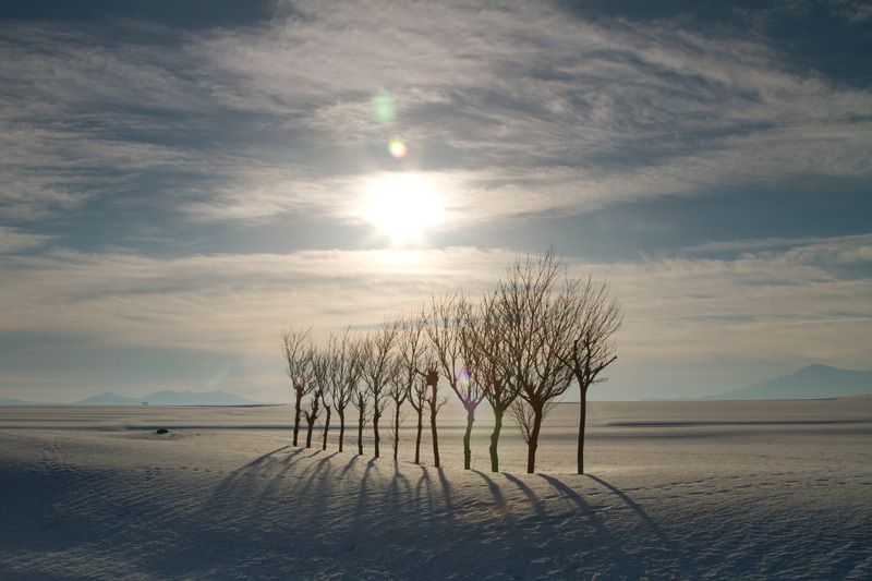 雪原の昇陽01